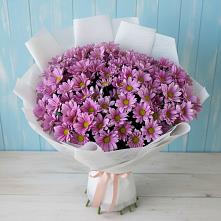 Букет цветов из:  Хризантемы в Верхнее Синячихе